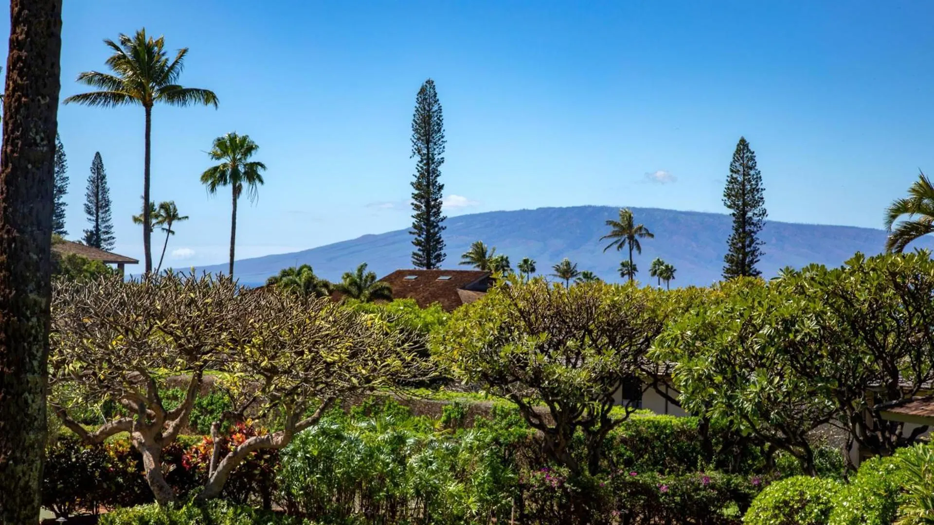 Kbm Resorts Free Car Kaanapali Pla-Ntation Villa Kpl-41 Beautiful Furnishings 0*,  United States